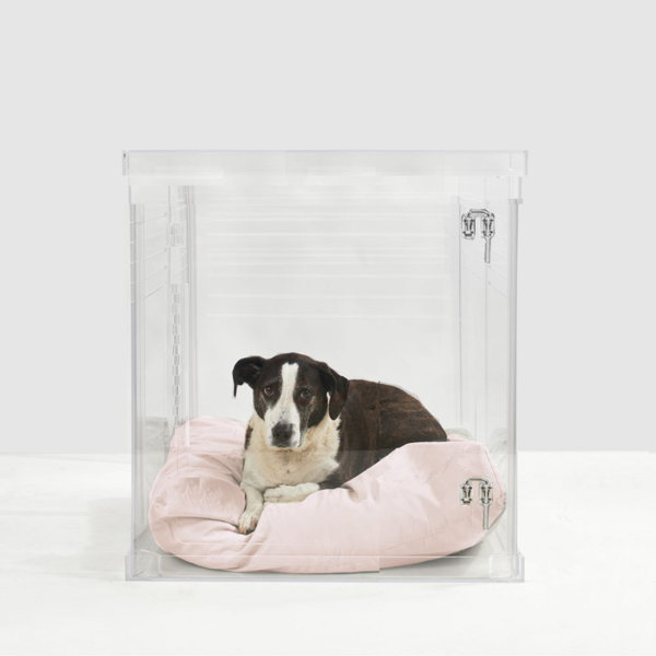 Plexiglass dog hot sale crate